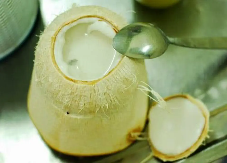 ĂN KEM DỪA NGON Ở HÀ NỘI