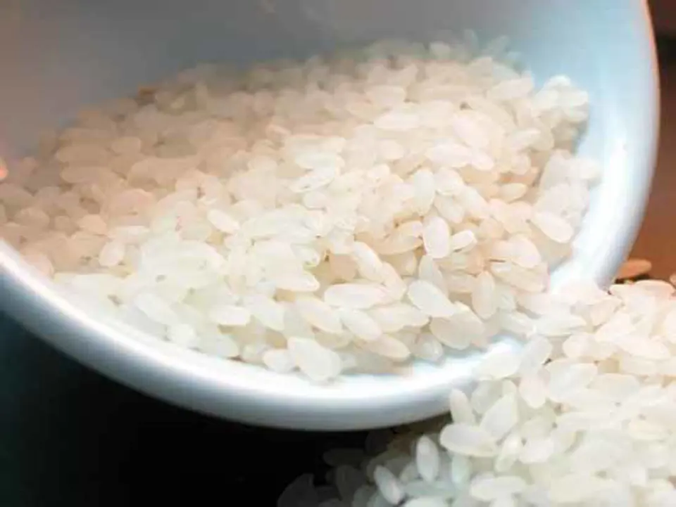 BẢO QUẢN GẠO VÀ NGŨ CỐC ĐÚNG CÁCH