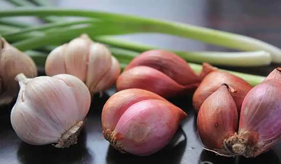 BẢO QUẢN GIA VỊ ĐÚNG CÁCH, BẠN CÓ BIẾT?