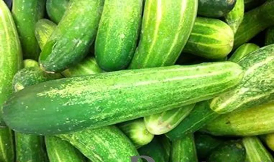 BÍ QUYẾT CHỌN CỦ QUẢ TƯƠI NGON TRONG MÙA HÈ