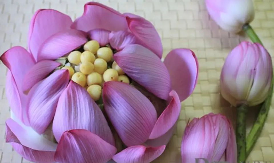 CƠM GÀ HẤP LÁ SEN CƠM GÀ HẤP LÁ SEN
