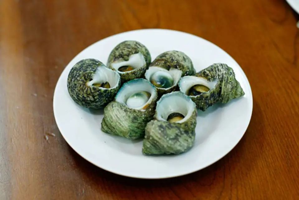 ỐC BÀ ĐEN NỨC TIẾNG SÀI THÀNH