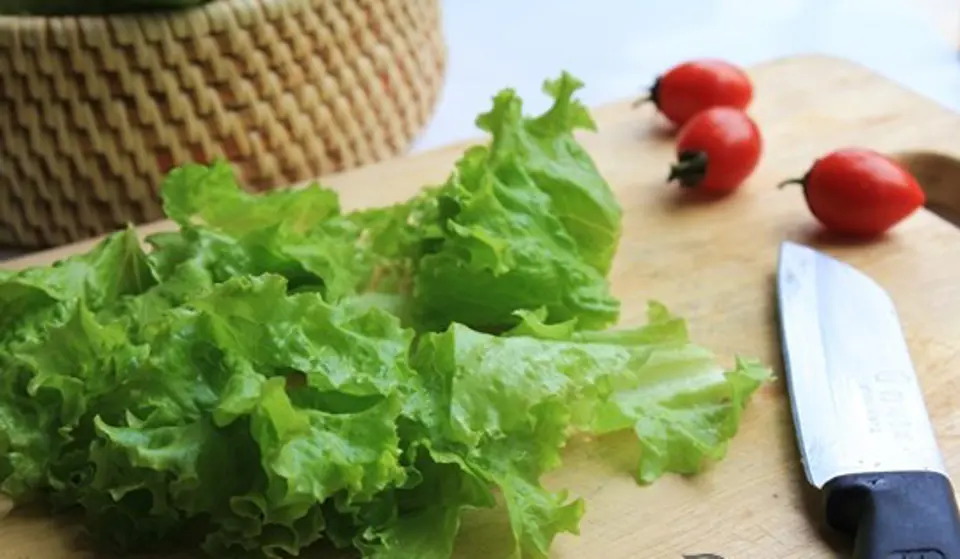 SALAD CÁ NGỪ TƯƠI MÁT MÀ ĐẸP DA SALAD CÁ NGỪ TƯƠI MÁT MÀ ĐẸP DA