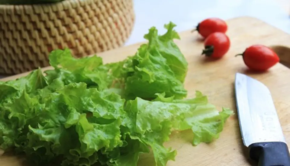 SALAD CÁ NGỪ TƯƠI MÁT MÀ ĐẸP DA SALAD CÁ NGỪ TƯƠI MÁT MÀ ĐẸP DA