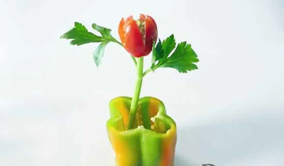 SALAD THANH CUA VÀ NẤM THÀNH GIỎ HOA TULIP