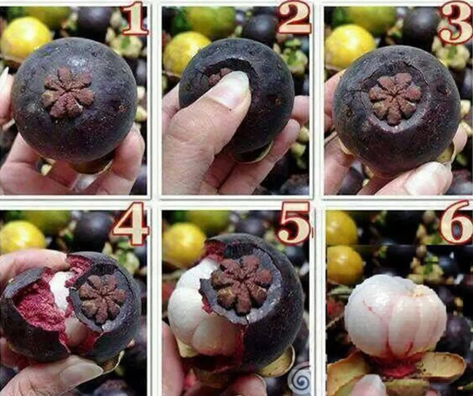 CÁCH GỌT HOA QUẢ SIÊU NHANH SIÊU DỄ