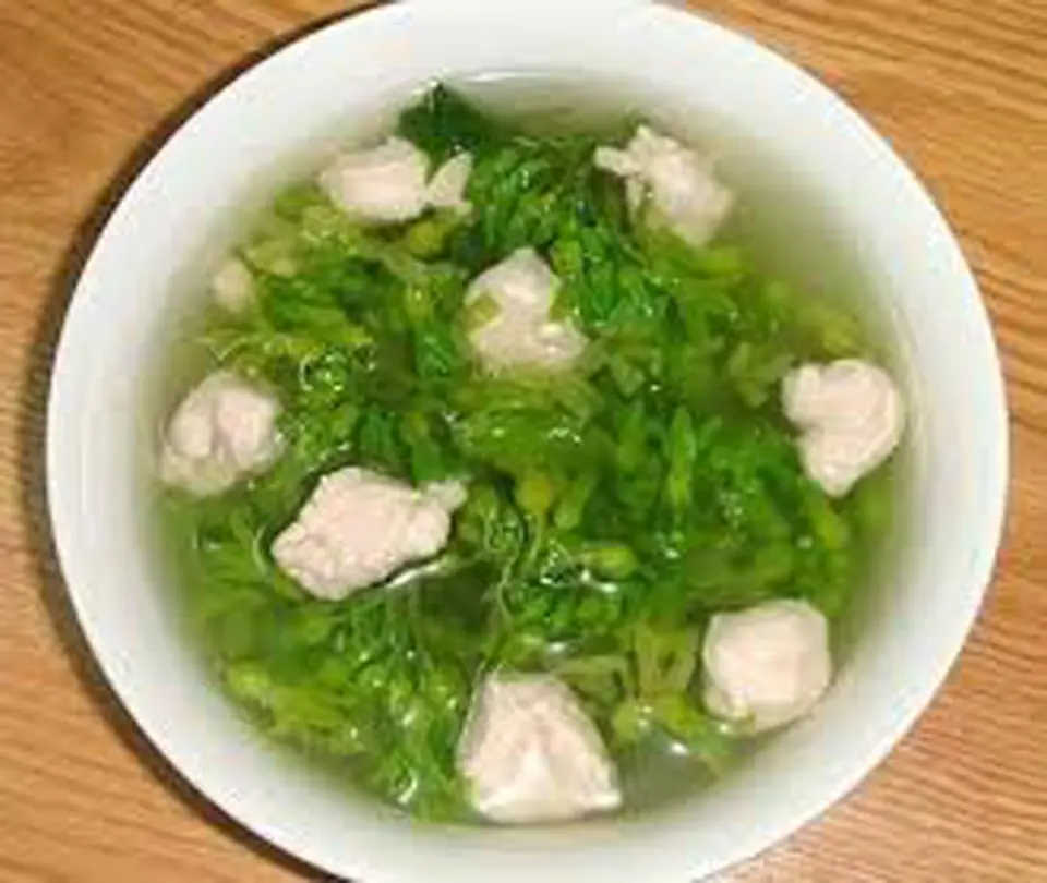 CANH THIÊN LÝ SÒ ĐIỆP ĐƠN GIẢN, NGON CƠM CANH THIÊN LÝ SÒ ĐIỆP ĐƠN GIẢN, NGON CƠM