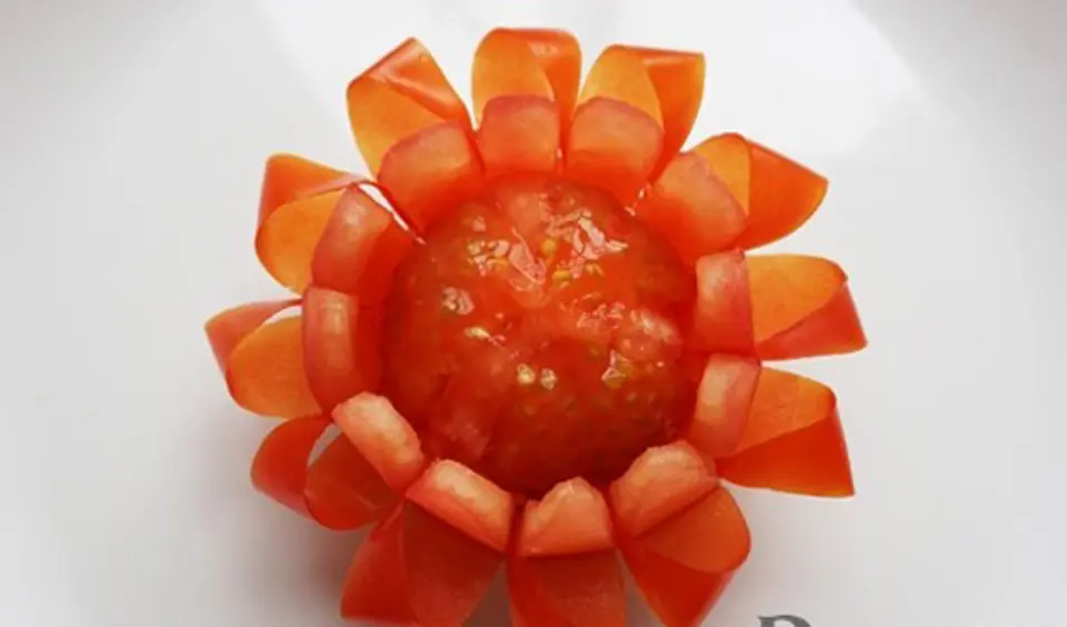 HOA NỞ RỰC RỠ TỪ CÀ CHUA HOA NỞ RỰC RỠ TỪ CÀ CHUA