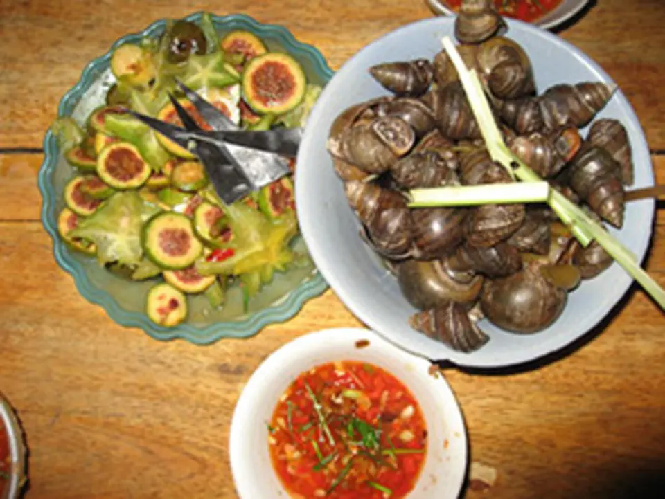NHỮNG MÓN ĂN GÂY THƯƠNG NHỚ CHO DU KHÁCH Ở HÀ NỘI NHỮNG MÓN ĂN GÂY THƯƠNG NHỚ CHO DU KHÁCH Ở HÀ NỘI