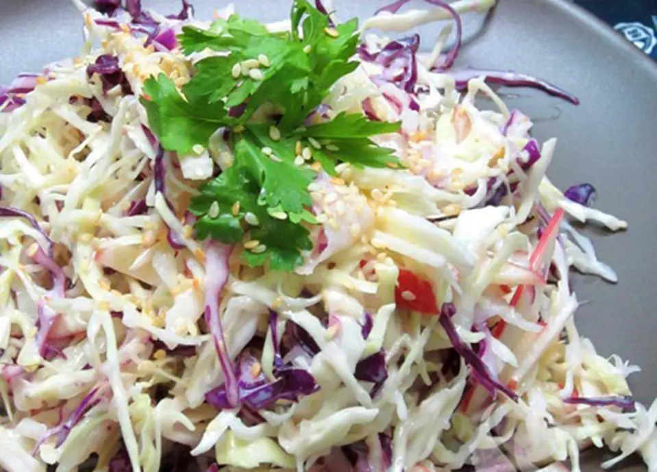 SALAD TÁO BẮP CẢI MÓN KHAI VỊ HOÀN HẢO SALAD TÁO BẮP CẢI MÓN KHAI VỊ HOÀN HẢO