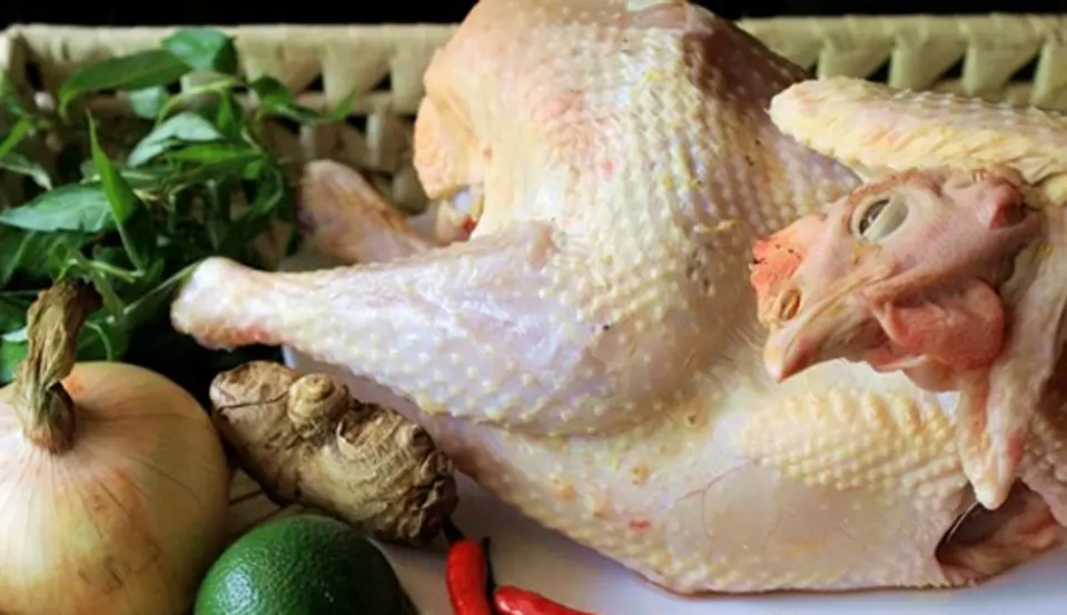 Salad gà dễ làm ngon cơm