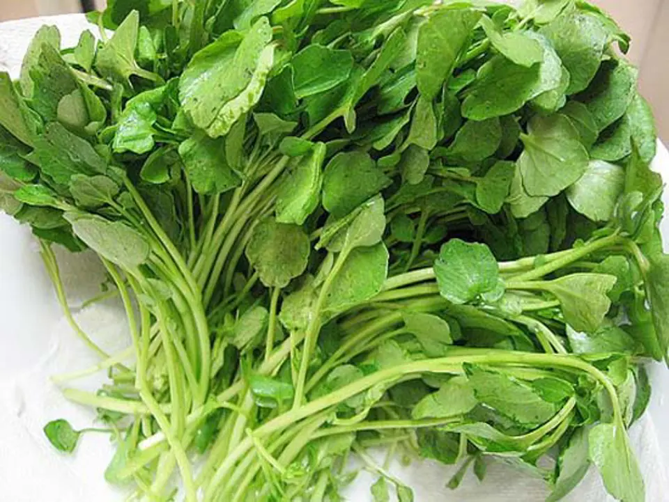 Công thức đơn giản cho món cải xoong nấu thịt