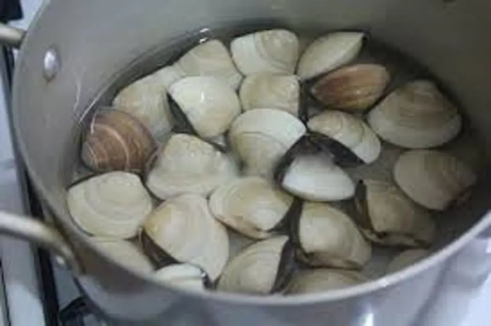 Hướng dẫn làm mì Ý sốt nghêu
