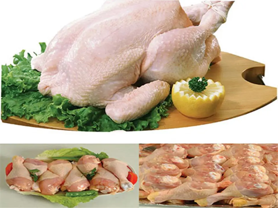 Cách chọn thịt gia cầm