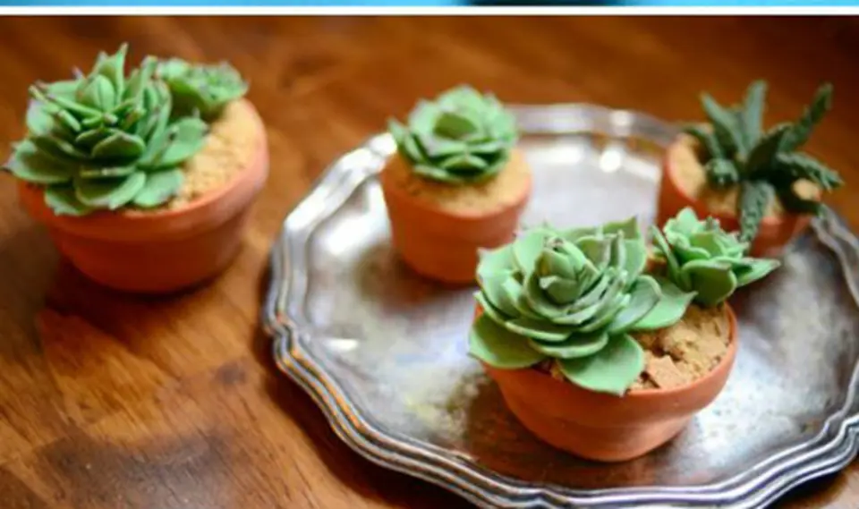 Học trang trí cupcake tình yêu
