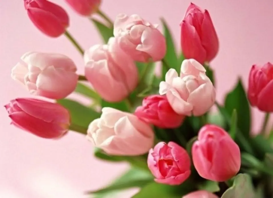 Mẹo giữ hoa tươi lâu trong ngày Tết