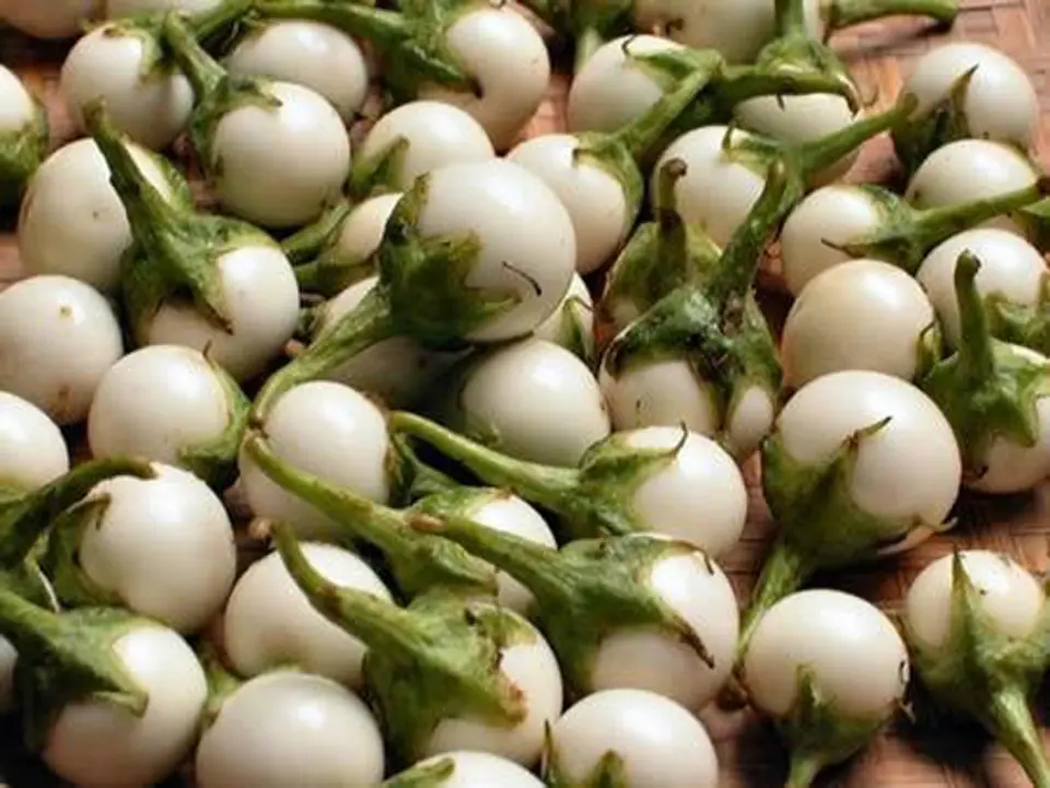 Cách chọn quả ngon để chế biến thức ăn Cách chọn quả ngon để chế biến thức ăn