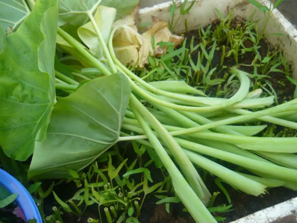 Cách làm dọc mùng không ngứa