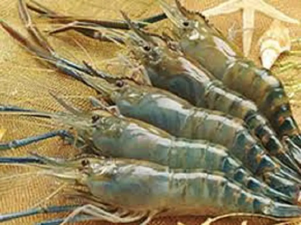 Canh hoa chuối nấu tôm