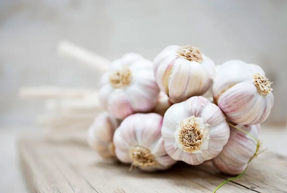 Chế độ ăn uống và kiêng kị đối với người bệnh ung thư