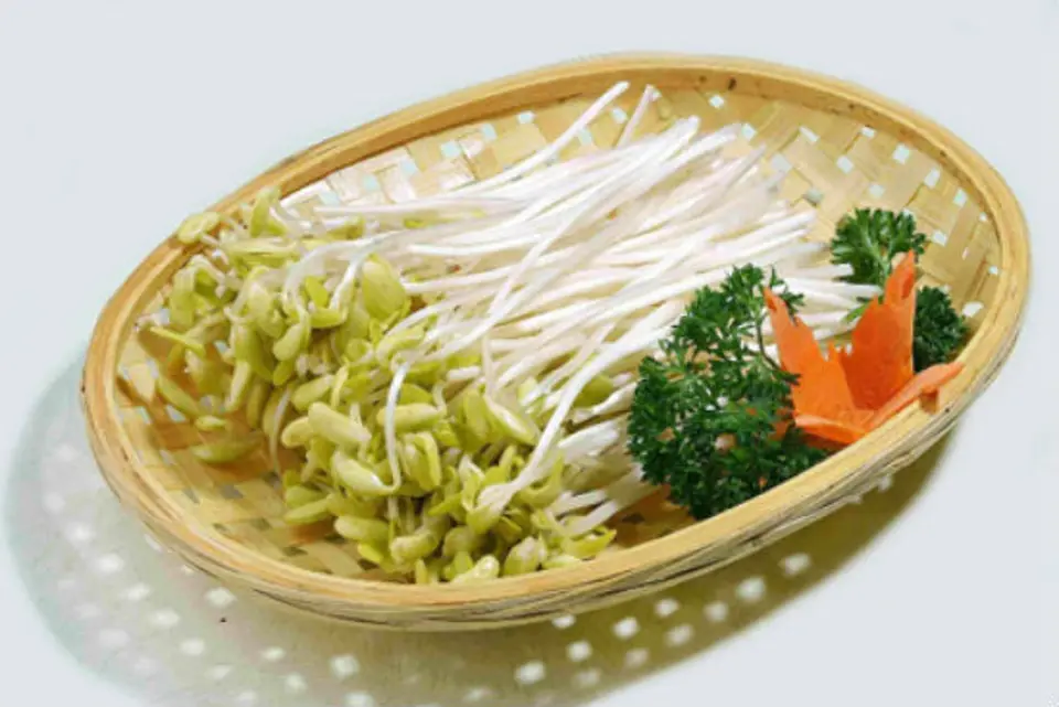 Hướng dẫn cách làm giá đỗ tại nhà bằng vỏ hộp sữa đơn giản mà ngon
