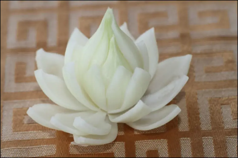 Hướng dẫn làm hoa sen từ hành tây