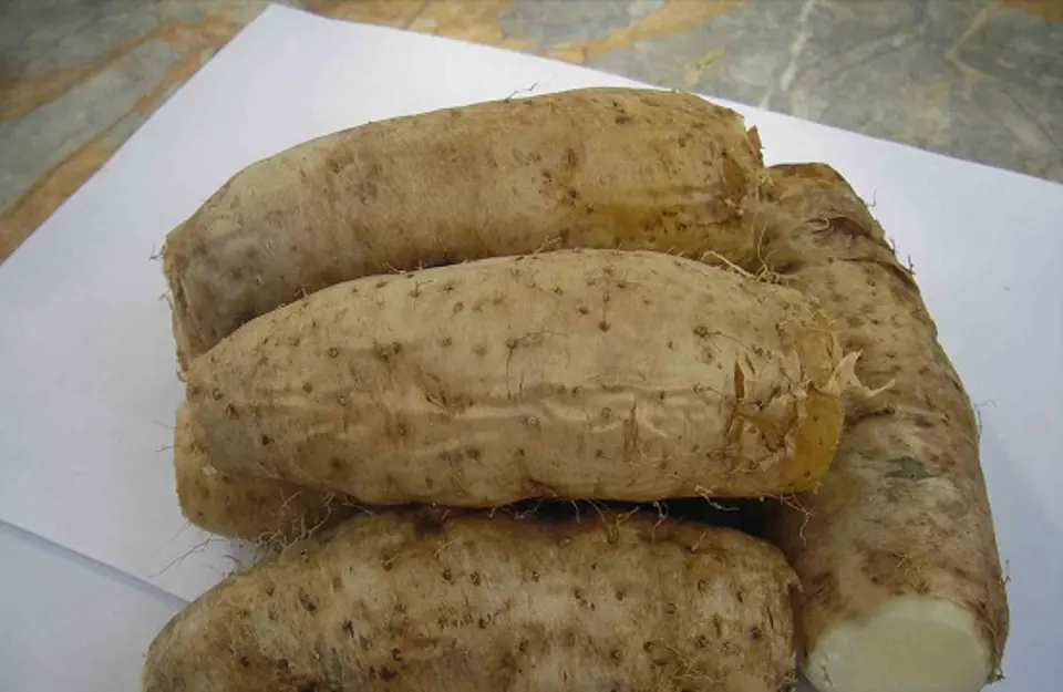 Hướng dẫn làm món canh khoai từ nấu cá lóc