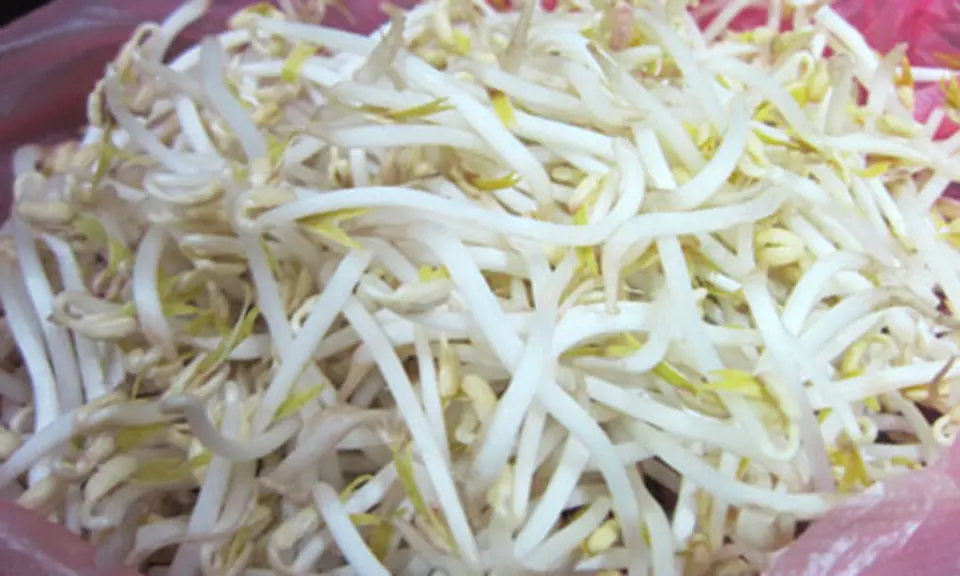 Mẹo chọn thực phẩm tươi ngon