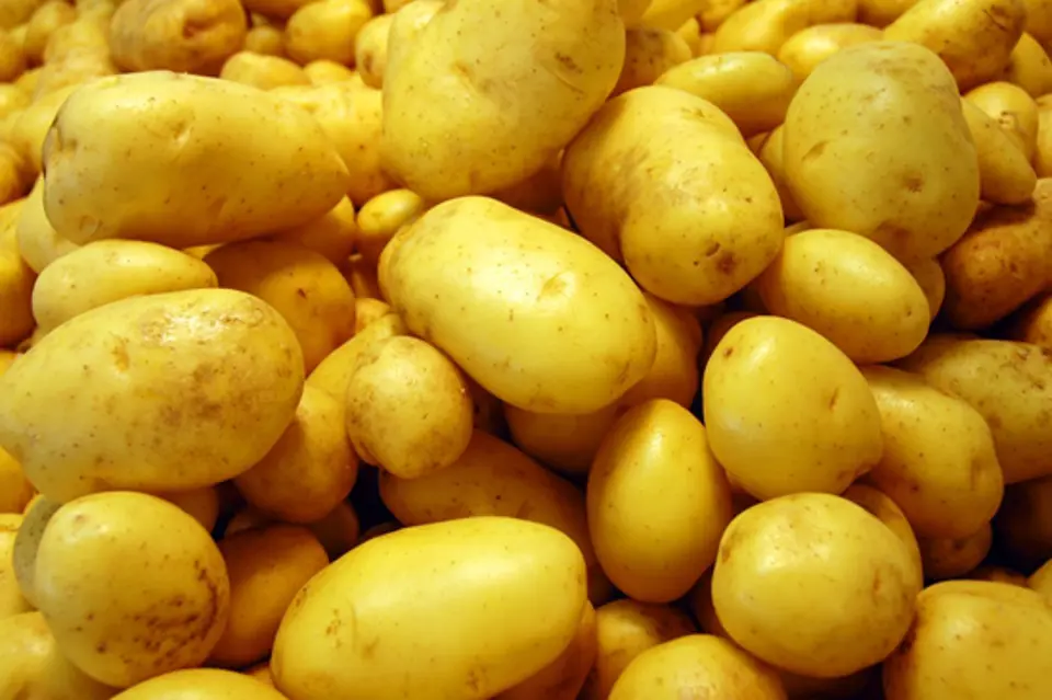 Mẹo chọn thực phẩm tươi ngon
