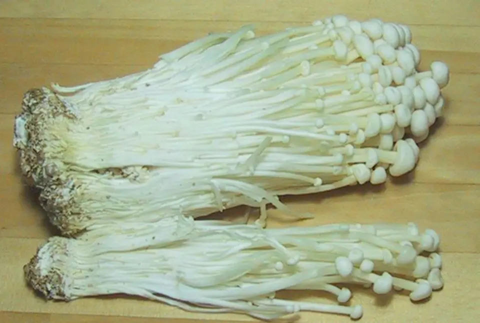 Mẹo chọn thực phẩm tươi ngon