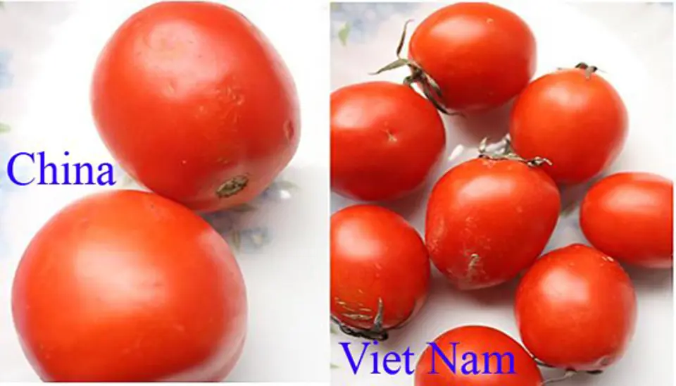 Mẹo phân biệt rau, củ, quả Trung Quốc