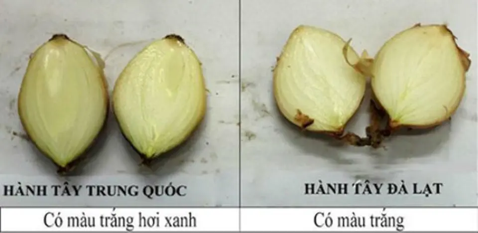 Mẹo phân biệt rau, củ, quả Trung Quốc