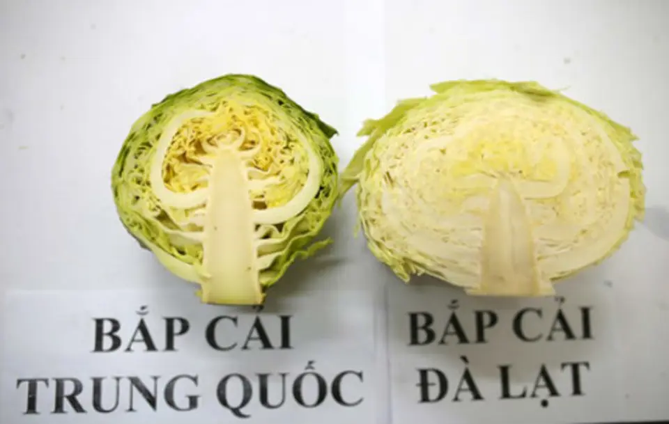 Mẹo phân biệt rau, củ, quả Trung Quốc