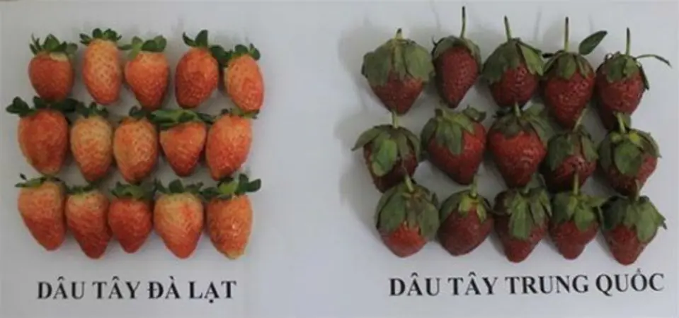 Mẹo phân biệt rau, củ, quả Trung Quốc