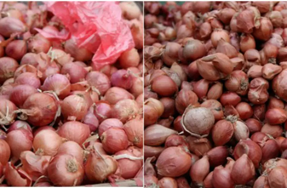 Mẹo phân biệt rau, củ, quả Trung Quốc