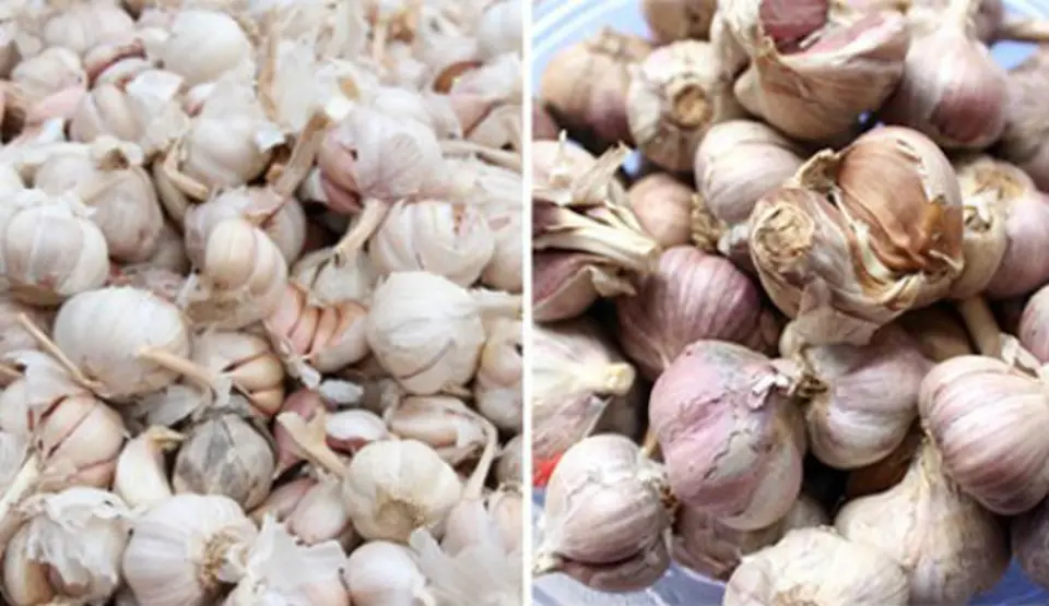 Mẹo phân biệt rau, củ, quả Trung Quốc