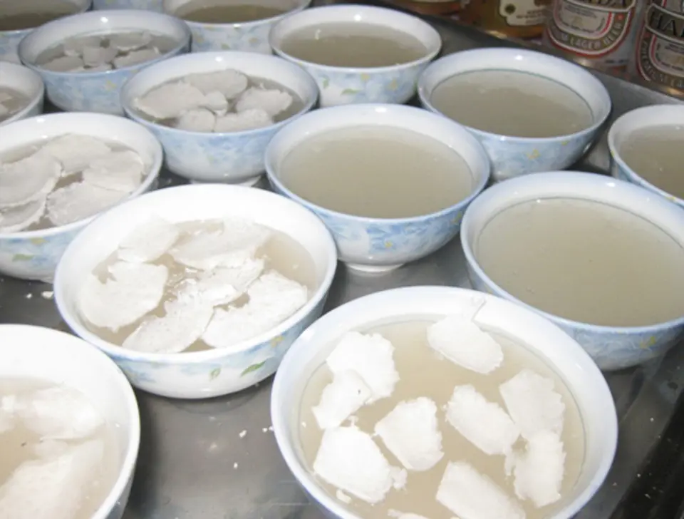 Món ăn bài thuốc dùng cho người bệnh đường hô hấp