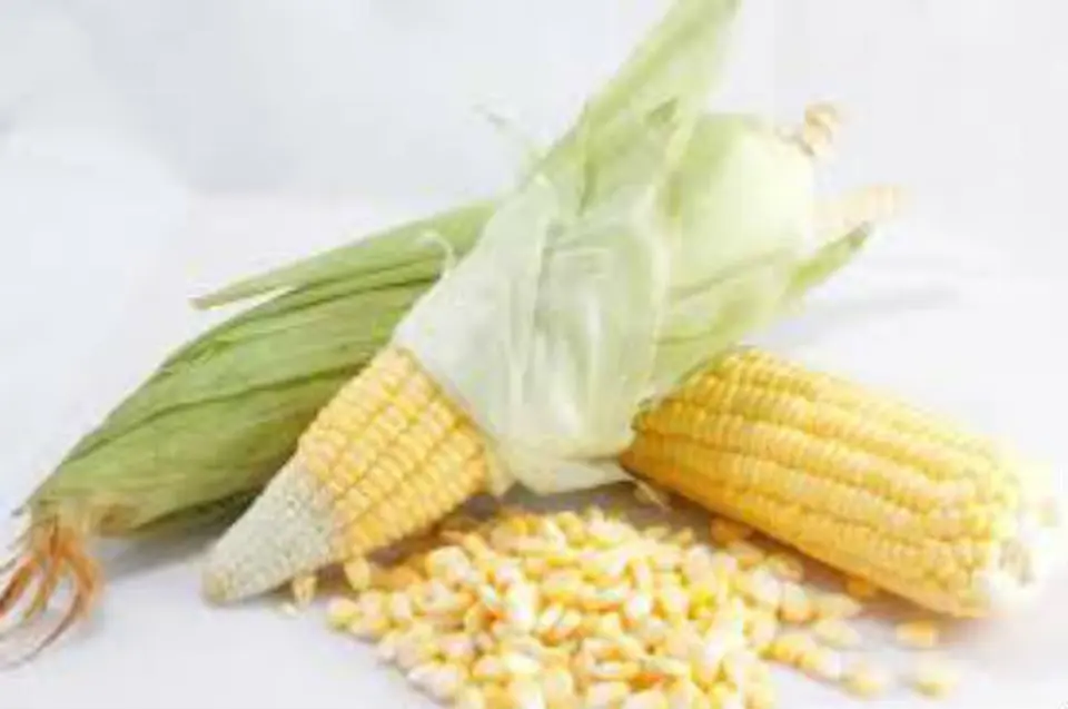 Tự làm bánh bắp chiên giòn
