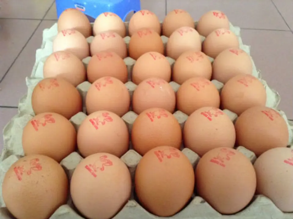 Cách chọn trứng gà làm bánh flan Cách chọn trứng gà làm bánh flan