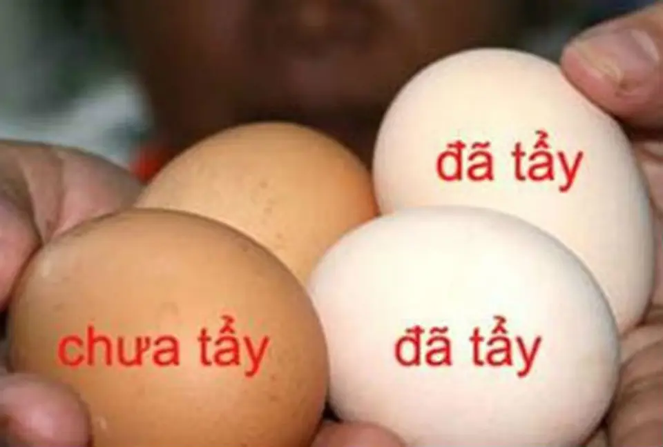 Cách chọn trứng gà làm bánh flan Cách chọn trứng gà làm bánh flan