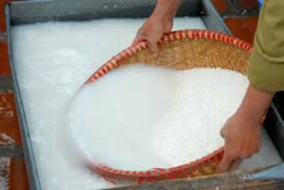 Nấu cháo lươn bổ dưỡng cho bé ăn dặm Nấu cháo lươn bổ dưỡng cho bé ăn dặm