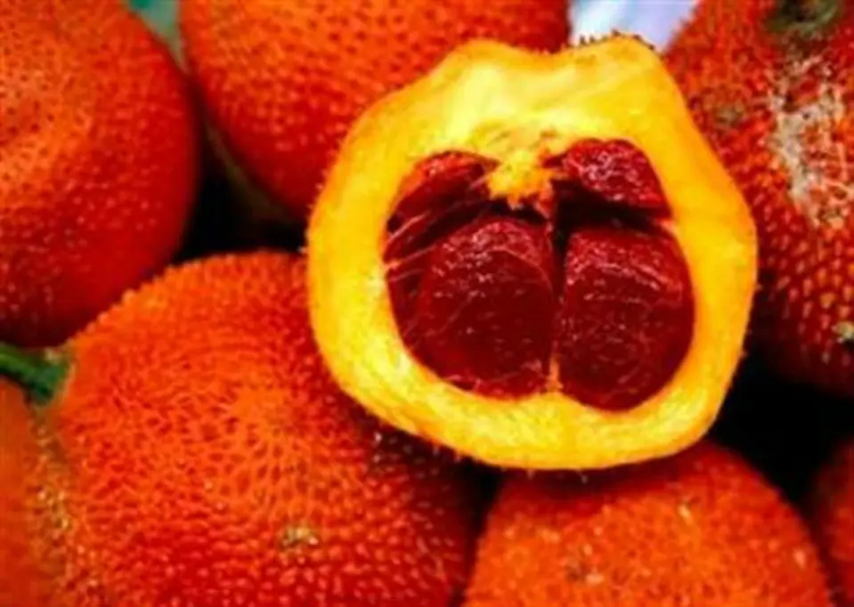 Tự làm dầu gấc tại nhà Tự làm dầu gấc tại nhà