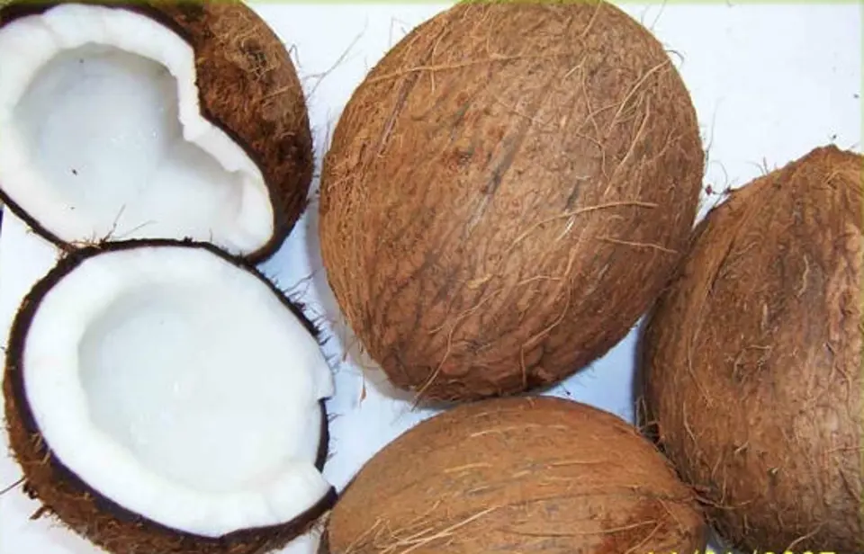 Tự tay làm dầu dừa nguyên chất tại nhà