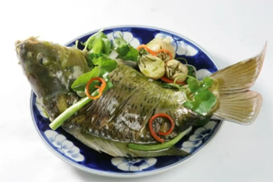 Các món ăn từ cá chép có lợi cho bà mẹ mang thai Các món ăn từ cá chép có lợi cho bà mẹ mang thai