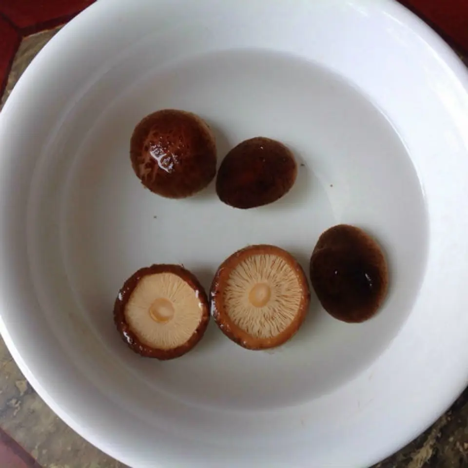 Cách làm món chay đậu hũ la hán hấp dẫn Cách làm món chay đậu hũ la hán hấp dẫn