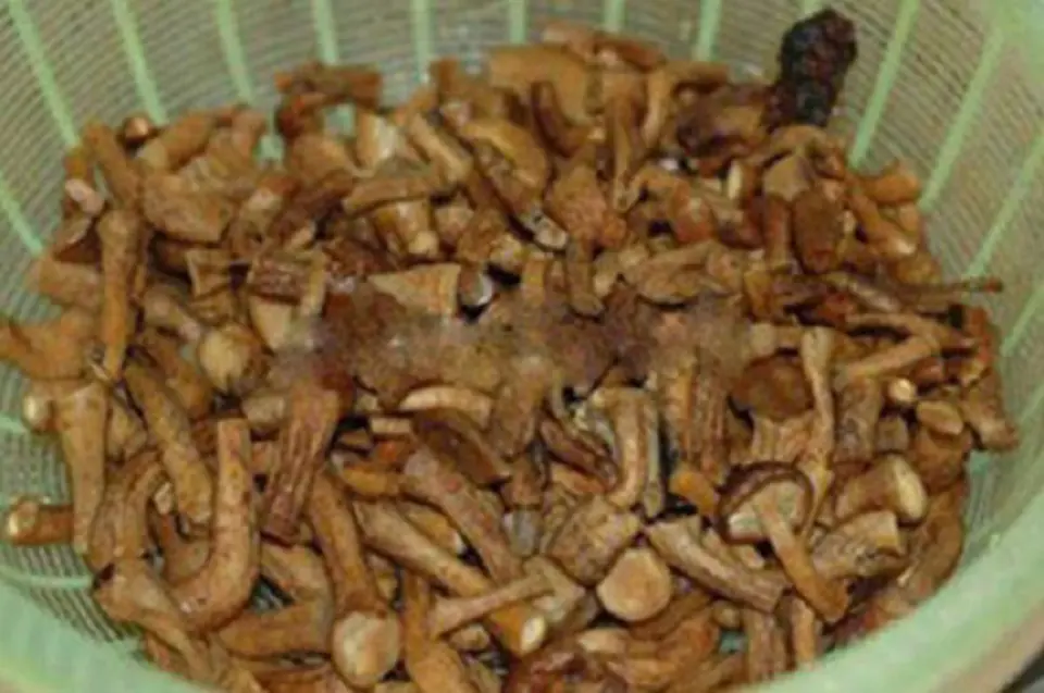 Cách làm ruốc nấm hương thơm ngon
