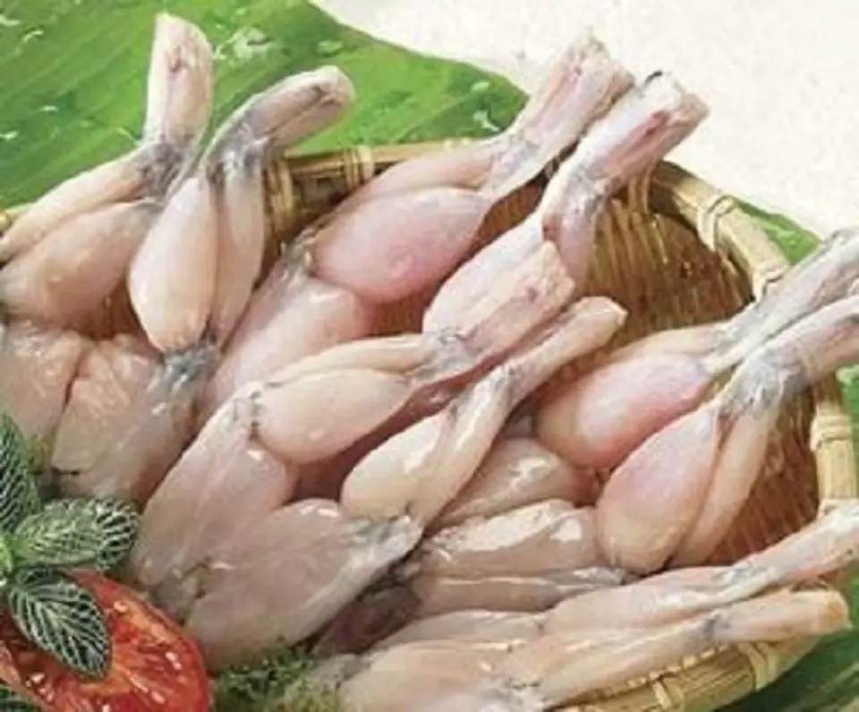 Thiết đãi cả nhà với cách làm món ếch tẩm bột chiên giòn vàng rụm