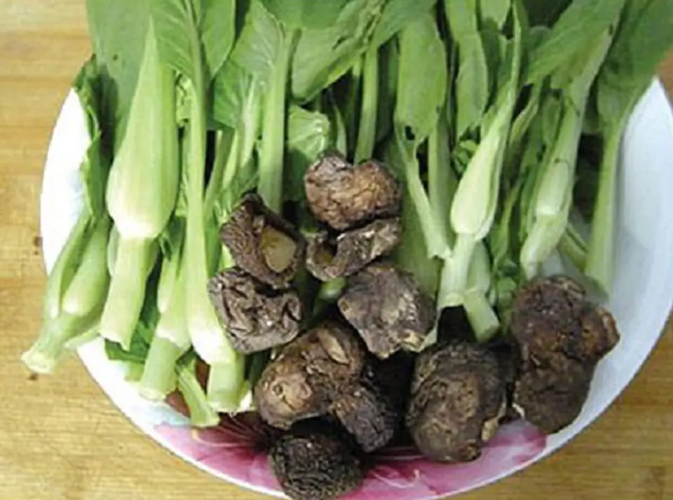 Cách làm rau cải chíp xào nấm ngon- bổ- rẻ