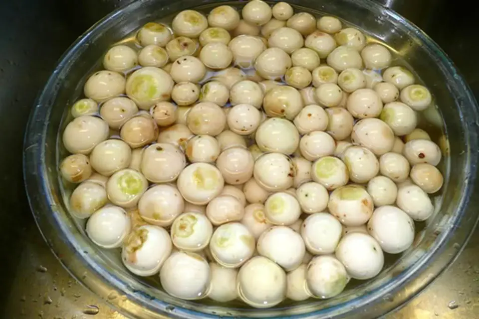 Cách muối cà pháo chua ngọt cực đơn giản