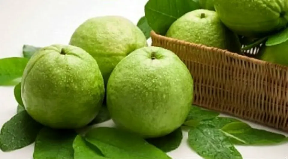 Công dụng và những điều cần chú ý khi ăn ổi không phải ai cũng biết
